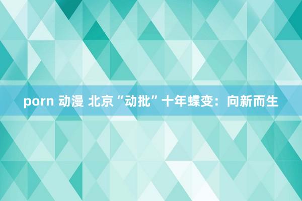porn 动漫 北京“动批”十年蝶变：向新而生