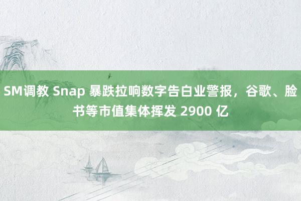 SM调教 Snap 暴跌拉响数字告白业警报，谷歌、脸书等市值集体挥发 2900 亿