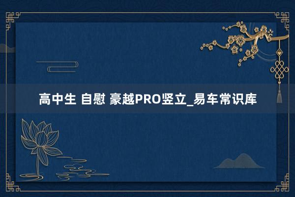 高中生 自慰 豪越PRO竖立_易车常识库