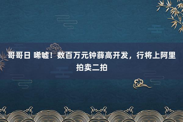 哥哥日 唏嘘！数百万元钟薛高开发，行将上阿里拍卖二拍