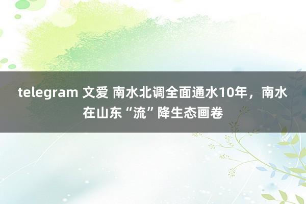 telegram 文爱 南水北调全面通水10年，南水在山东“流”降生态画卷