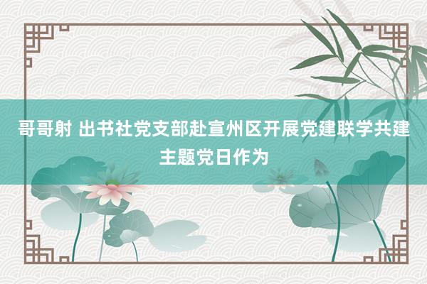 哥哥射 出书社党支部赴宣州区开展党建联学共建主题党日作为