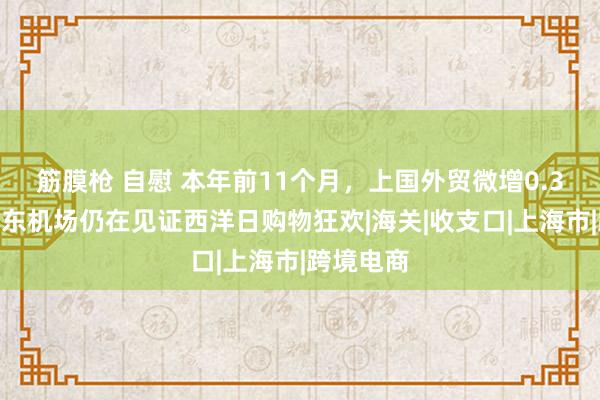 筋膜枪 自慰 本年前11个月，上国外贸微增0.3%，但浦东机场仍在见证西洋日购物狂欢|海关|收支口|上海市|跨境电商