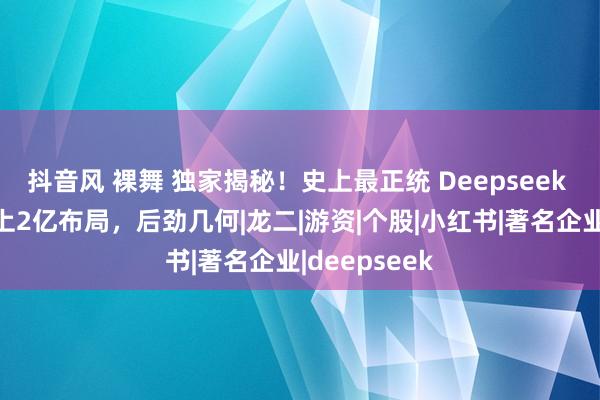 抖音风 裸舞 独家揭秘！史上最正统 Deepseek 倡导股，北上2亿布局，后劲几何|龙二|游资|个股|小红书|著名企业|deepseek