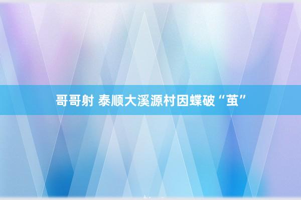 哥哥射 泰顺大溪源村因蝶破“茧”
