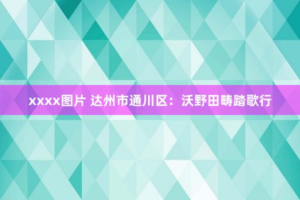 xxxx图片 达州市通川区：沃野田畴踏歌行