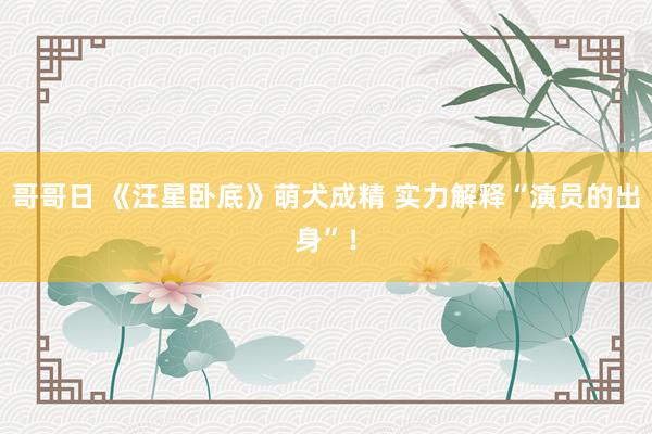 哥哥日 《汪星卧底》萌犬成精 实力解释“演员的出身”！