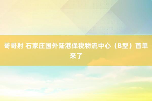 哥哥射 石家庄国外陆港保税物流中心（B型）首单来了