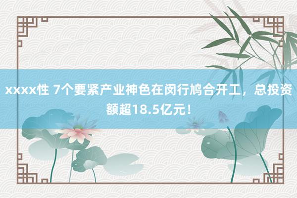 xxxx性 7个要紧产业神色在闵行鸠合开工，总投资额超18.5亿元！