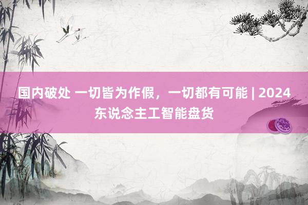 国内破处 一切皆为作假，一切都有可能 | 2024东说念主工智能盘货