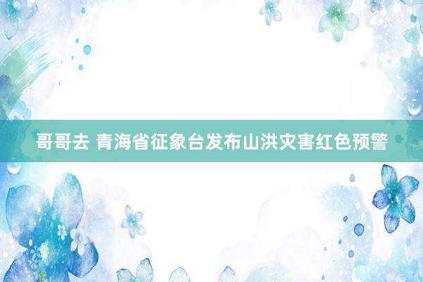 哥哥去 青海省征象台发布山洪灾害红色预警