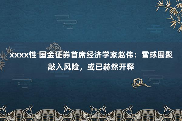xxxx性 国金证券首席经济学家赵伟：雪球围聚敲入风险，或已赫然开释