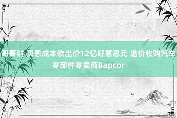 哥哥射 贝恩成本欲出价12亿好意思元 溢价收购汽车零部件零卖商Bapcor