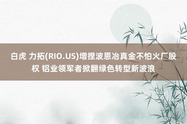 白虎 力拓(RIO.US)增捏波恩冶真金不怕火厂股权 铝业领军者掀翻绿色转型新波浪