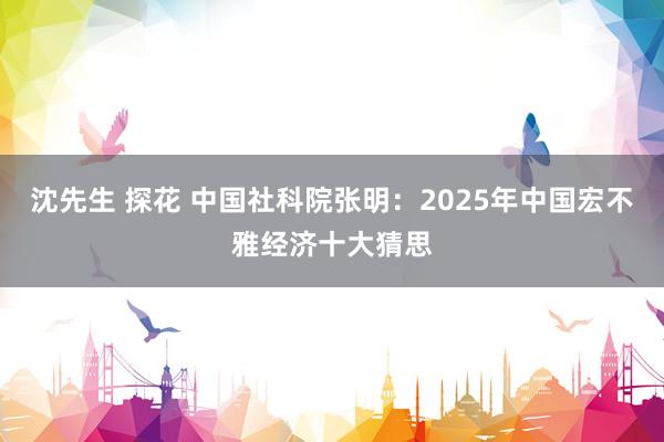 沈先生 探花 中国社科院张明：2025年中国宏不雅经济十大猜思