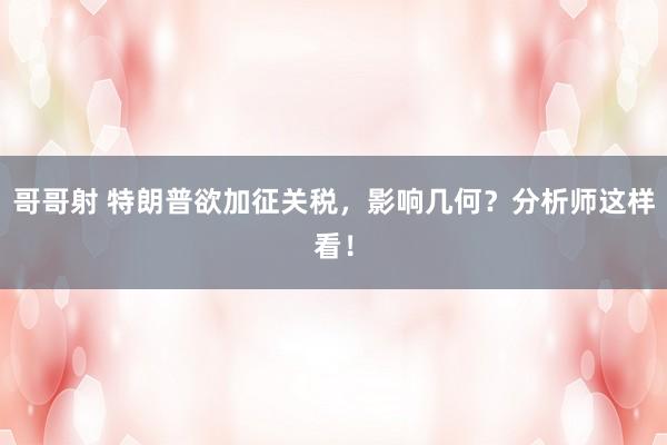 哥哥射 特朗普欲加征关税，影响几何？分析师这样看！
