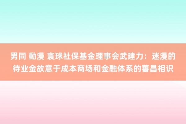 男同 動漫 寰球社保基金理事会武建力：迷漫的待业金故意于成本商场和金融体系的蕃昌相识
