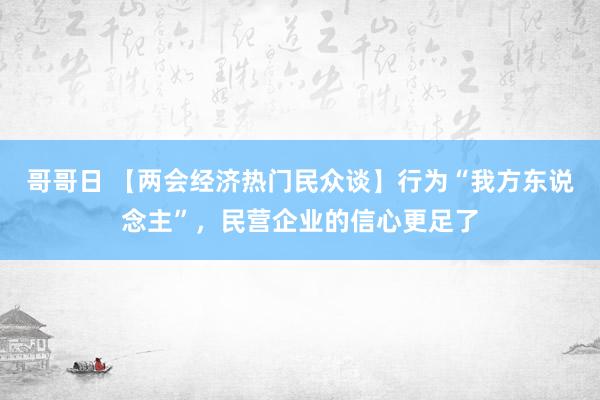 哥哥日 【两会经济热门民众谈】行为“我方东说念主”，民营企业的信心更足了