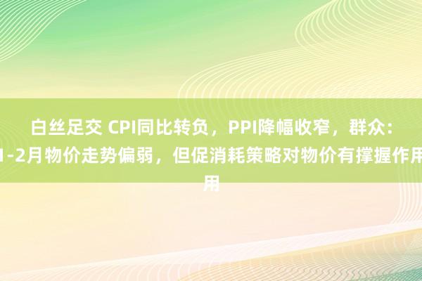 白丝足交 CPI同比转负，PPI降幅收窄，群众：1-2月物价走势偏弱，但促消耗策略对物价有撑握作用